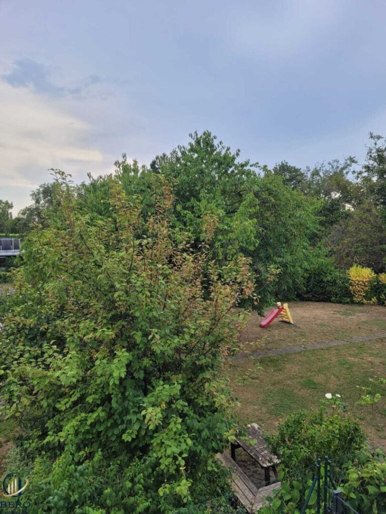 Ausblick vom Balkon