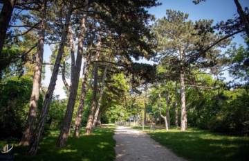 Bild - Ihre Oase in Wien: Ruhige Sackgassenlage und moderner Wohnkomfort vereint