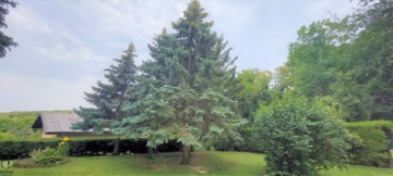 Wunderschönes Grundstück - Eigengrund in Bestlage der Siedlung Wolfsbergen/Hagenbrunn