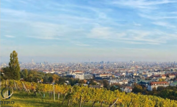 Bild - Himmelmutterweg 