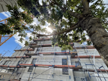 Bild - Große klassische 2 Zimmer Wohnung mit Balkon – U1 Leopoldau
