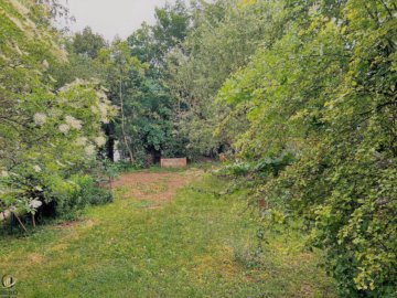Bild - Großzügige Doppelhaushälfte in Eggenburg – 195m², 4 Zimmer, Garten & Balkon!
