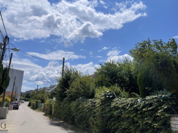 4 Zimmer mit Terrasse | Alte Donau | U1 Kagran, 1220 Wien, Terrassenwohnung
