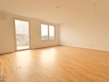 Neu errichtete 2 Zimmerwohnung mit Balkon, 2232 Deutsch-Wagram, Dachgeschoß