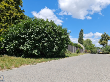 4 Zimmer mit Garten & Terrasse | Alte Donau | U1 Kagran, 1220 Wien, Gartenwohnung